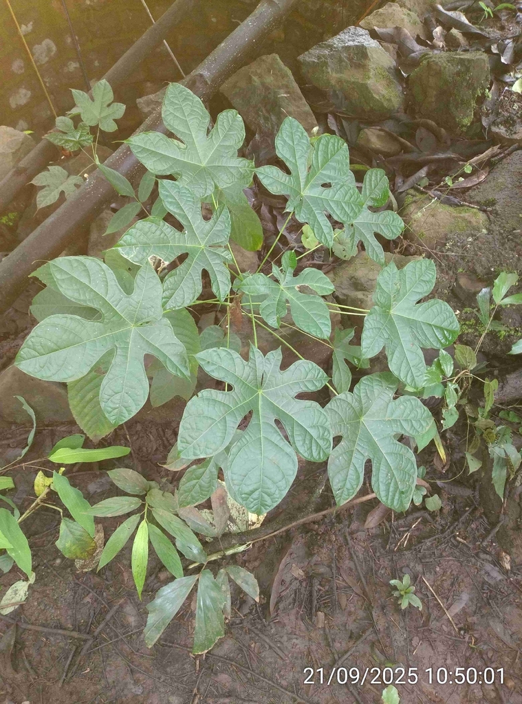 Unknown3